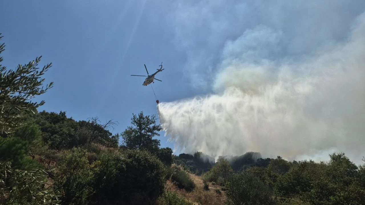Manisa'nın Turgutlu ilçesine bağlı tarım arazisinde çıkan yangın ormanlık alana sıçradı
