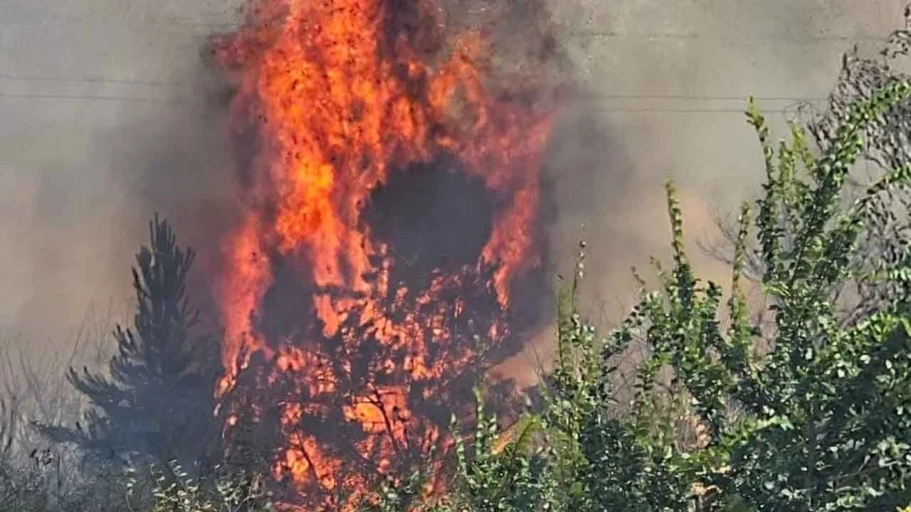 Bulgaristan'daki yangına Türkiye'den destek - 1. Resim