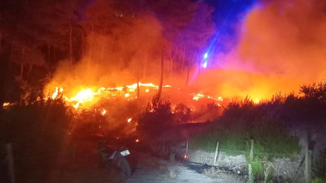 Çanakkale Ayvacık'ta orman yangını! Ekipler seferber oldu - Gündem