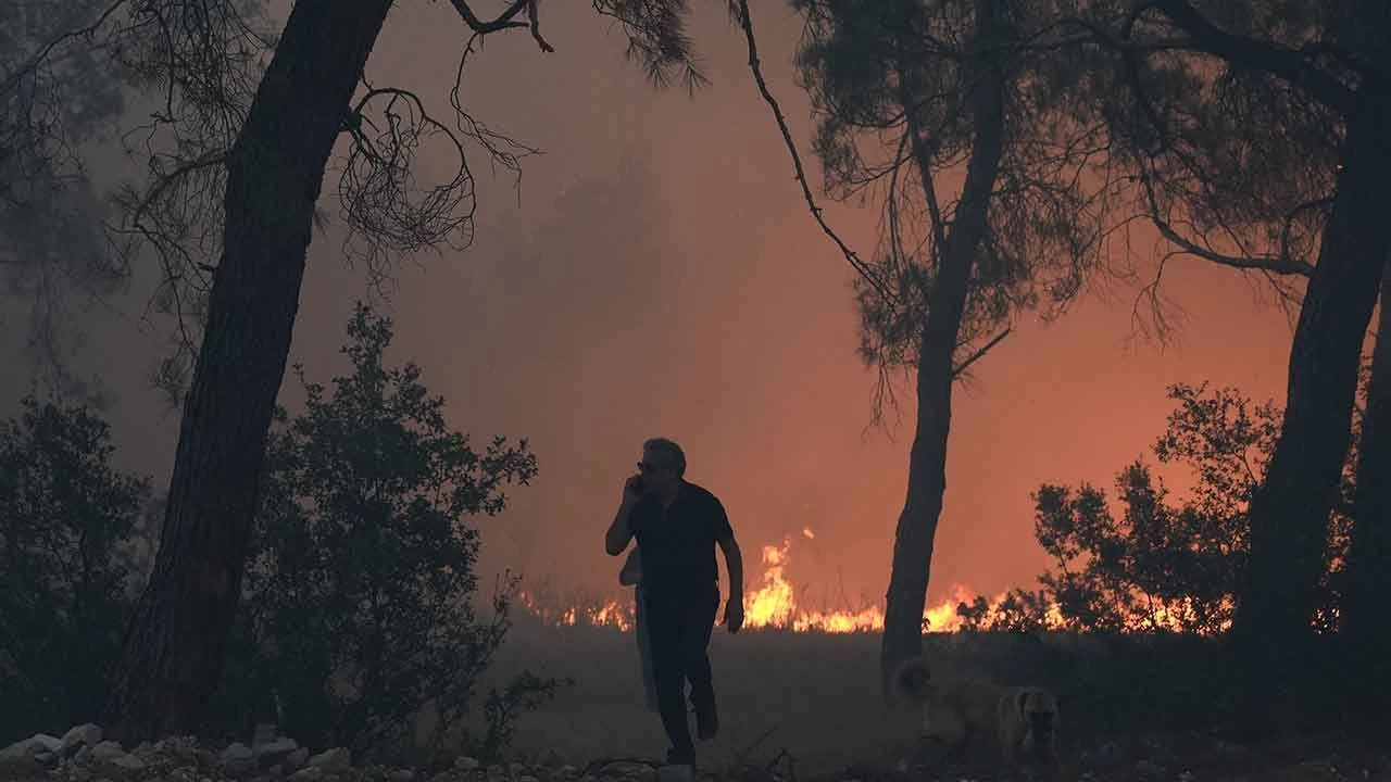 Ekipler seferber oldu! 1 günde 48 yangın: Bakan Yumaklı'dan açıklama geldi - 1. Resim