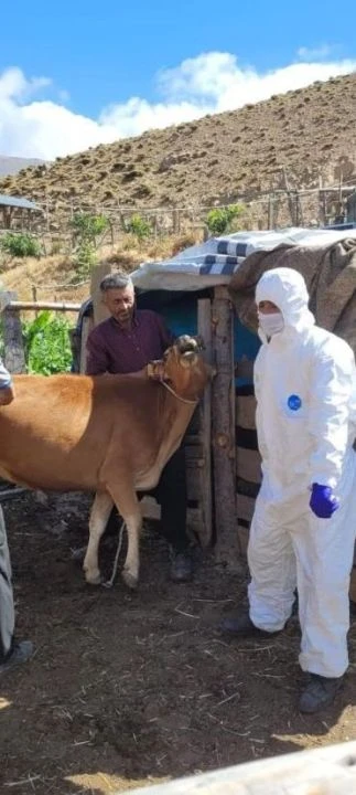 Adana’da şarbon hastalığı paniği: Giriş ve çıkışlar yasaklandı! - 2. Resim