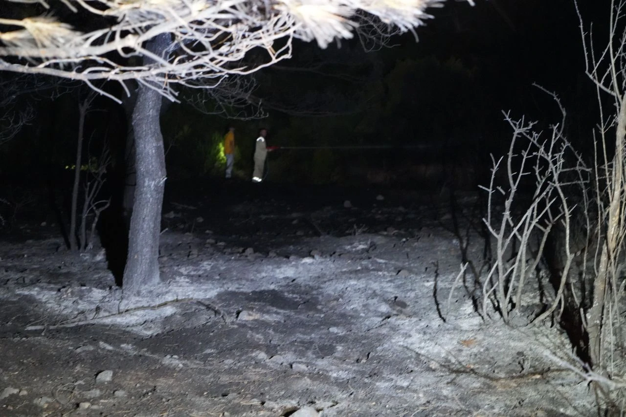 Ayvalık'ta orman yangınında rüzgara karşı zorlu mücadelede iyi haber geldi