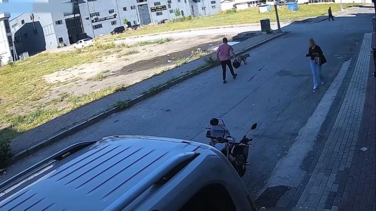 Bursa'da yine başıboş köpek dehşeti! Talihsiz kadının canını zor kurtardı - 3. Resim