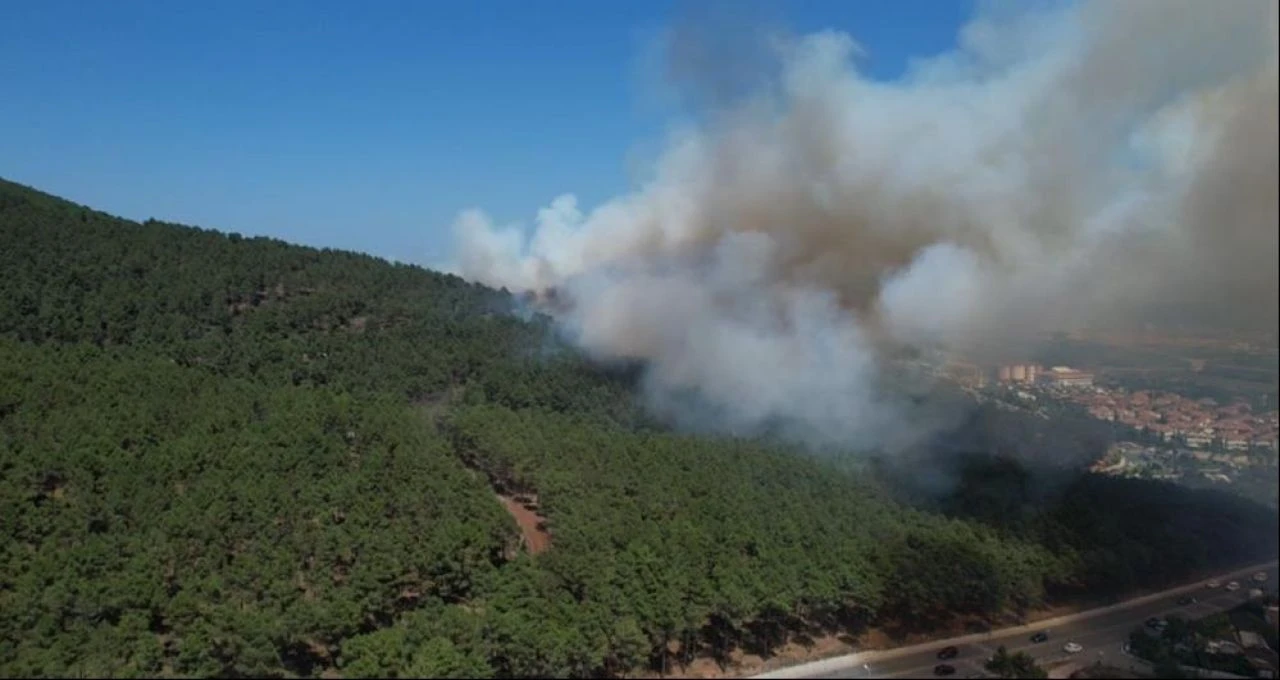 Son dakika | Pendik Aydos Ormanı’nda yangın: Alevler evlere doğru ilerliyor - 3. Resim