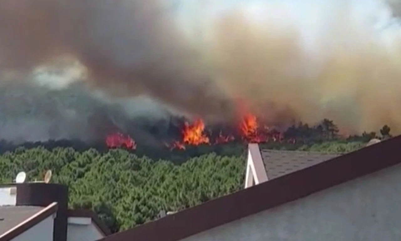 Son dakika | Pendik Aydos Ormanı’nda yangın: Alevler evlere doğru ilerliyor - 1. Resim