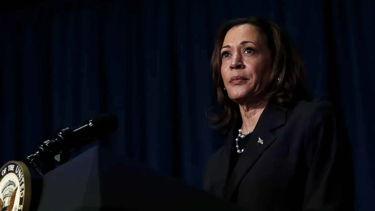 Altın ve dolar hangi ABD başkan adayını tercih ediyor? İşte Trump-Harris yarışında kazanacak ve kaybedecekler - 6. Resim