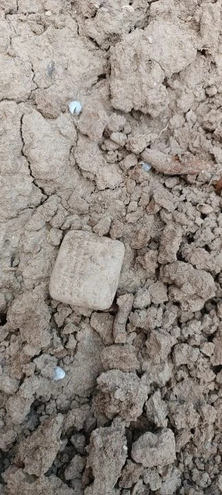 Hatay'da bulundu, tarihe ışık tutacak! 28 gram ağırlığında - 3. Resim