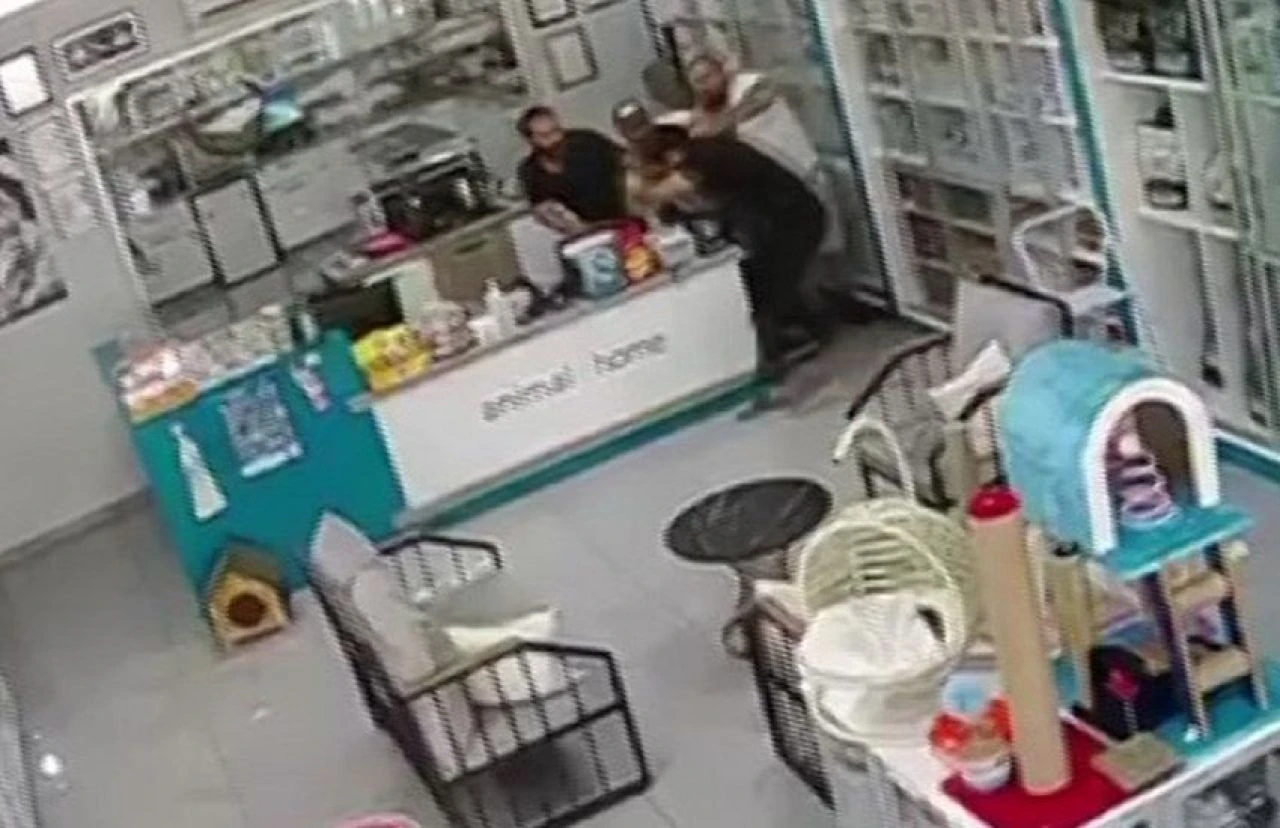 Kocaeli'de magandalar veteriner hekime dehşeti yaşattı - 2. Resim