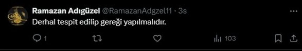 Mersin'de skandal görüntüler! Terörist başı Abdullah Öcalan lehine slogan atarak halay çektiler - 5. Resim