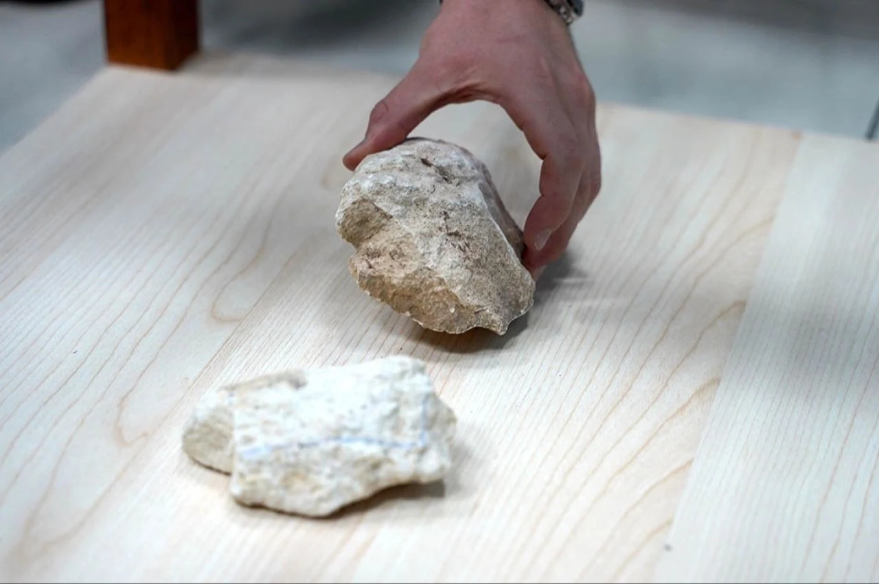 Türk genç mühendislerin yapay zeka projesi paraya para demiyor