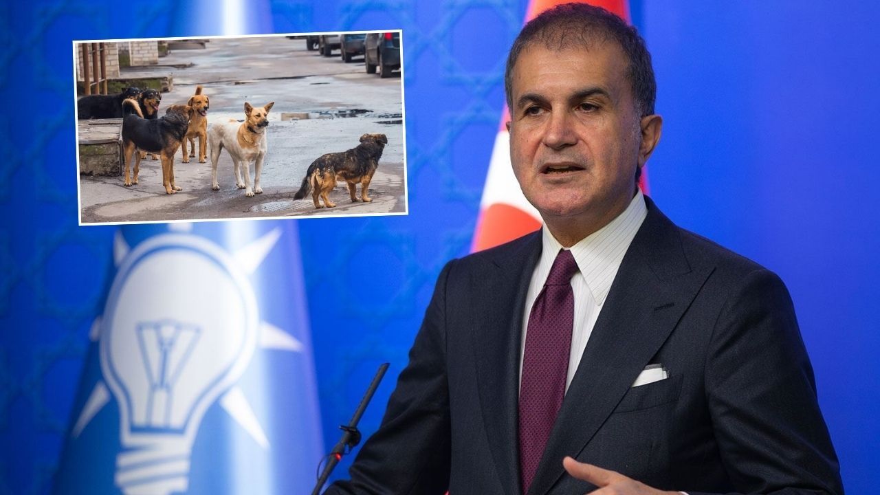 AK Parti Sözcüsü Ömer Çelik’ten sokak köpekleri tepkilerine cevap: Arzumuz sokakların güvenli hale gelmesidir! - Politika
