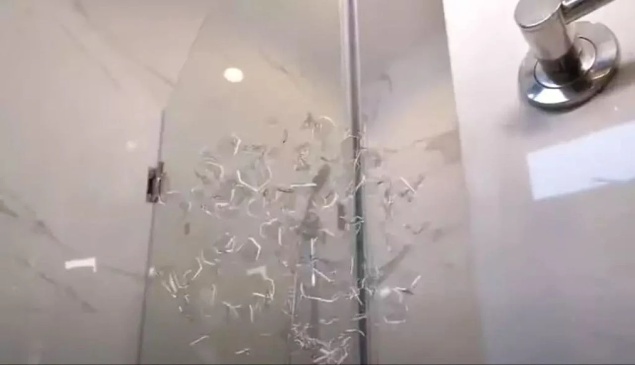 Alanya'daki lük otelde tatile geldiler kâbusu yaşadılar! Bomba gibi patladı her yer kan gölüne döndü - 2. Resim