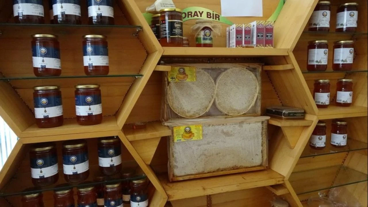 Avrupa’nın sırada beklediği Türk çiçek balında verim yüzde 50 düştü: Üreticinin fiyat beklentisi belli oldu! - 2. Resim