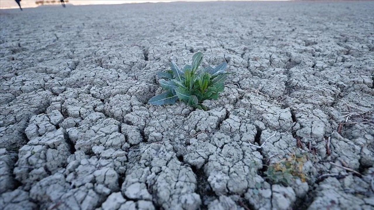 Dünya Bankası'ndan Türkiye'nin enerji planına övgü! En iddialı plan - 3. Resim
