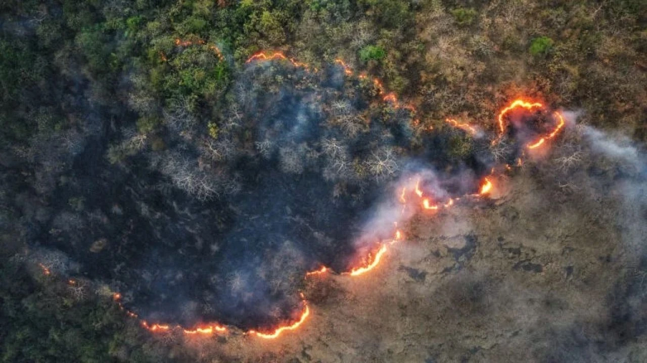 Orman yangınlarıyla mücadelede yeni dönem! Yapay zeka iş başında - 1. Resim