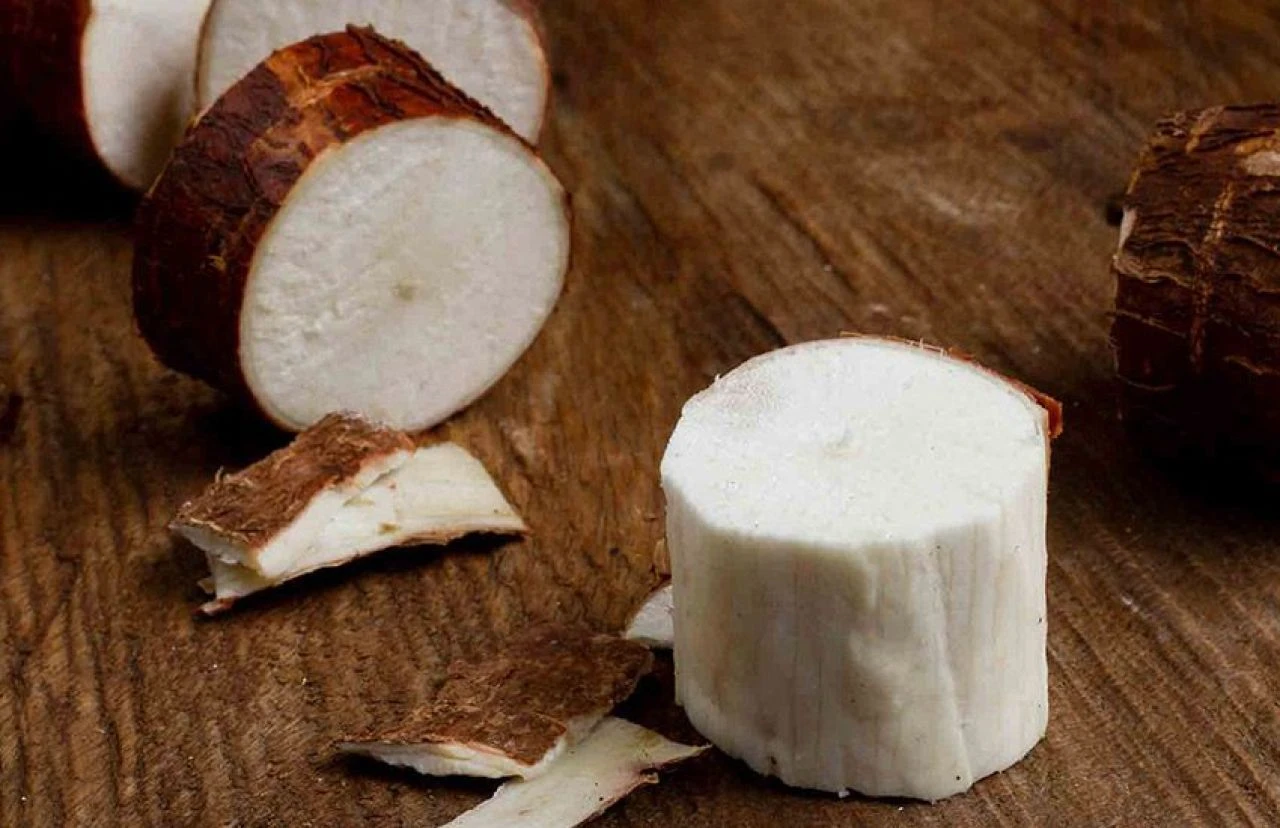 Aşırı zehirli olan 5 yiyecek! Doğru hazırlanmazsa felç bırakır hatta öldürür - 3. Resim