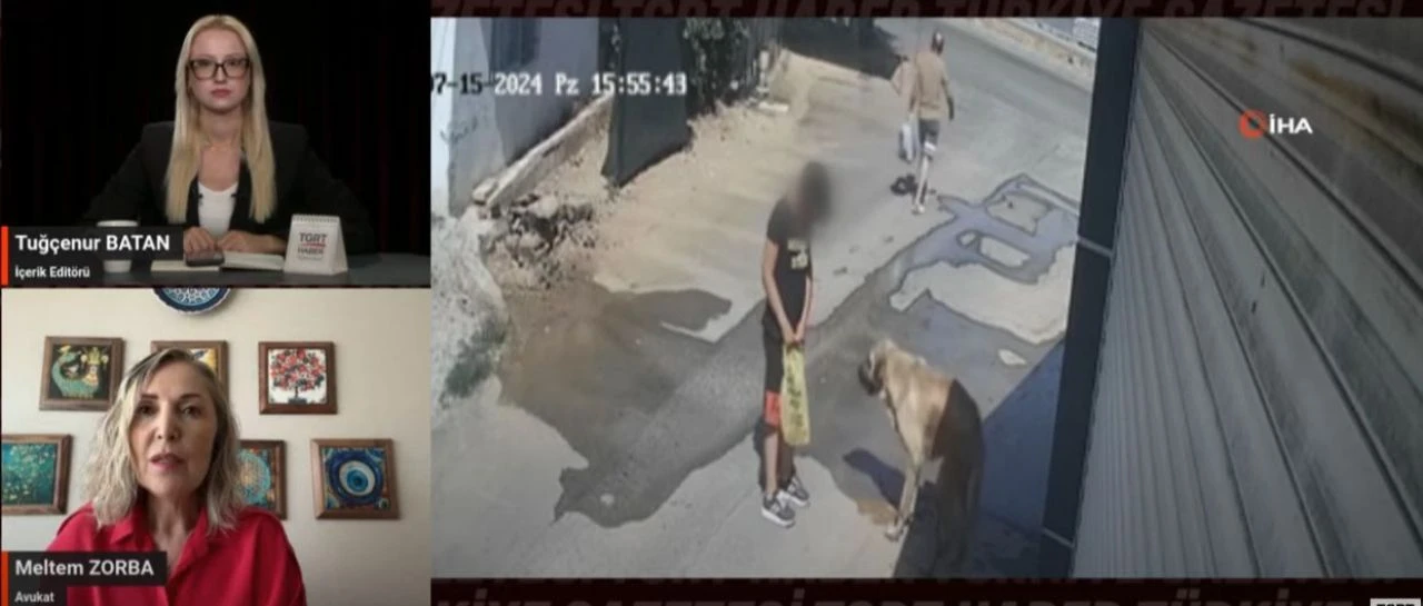 Başıboş sokak köpeklerinin öldürdüğü Mahra'nın avukatı konuştu! Sokak hayvanları yasası için 'beka meselesi' çıkışı - 2. Resim