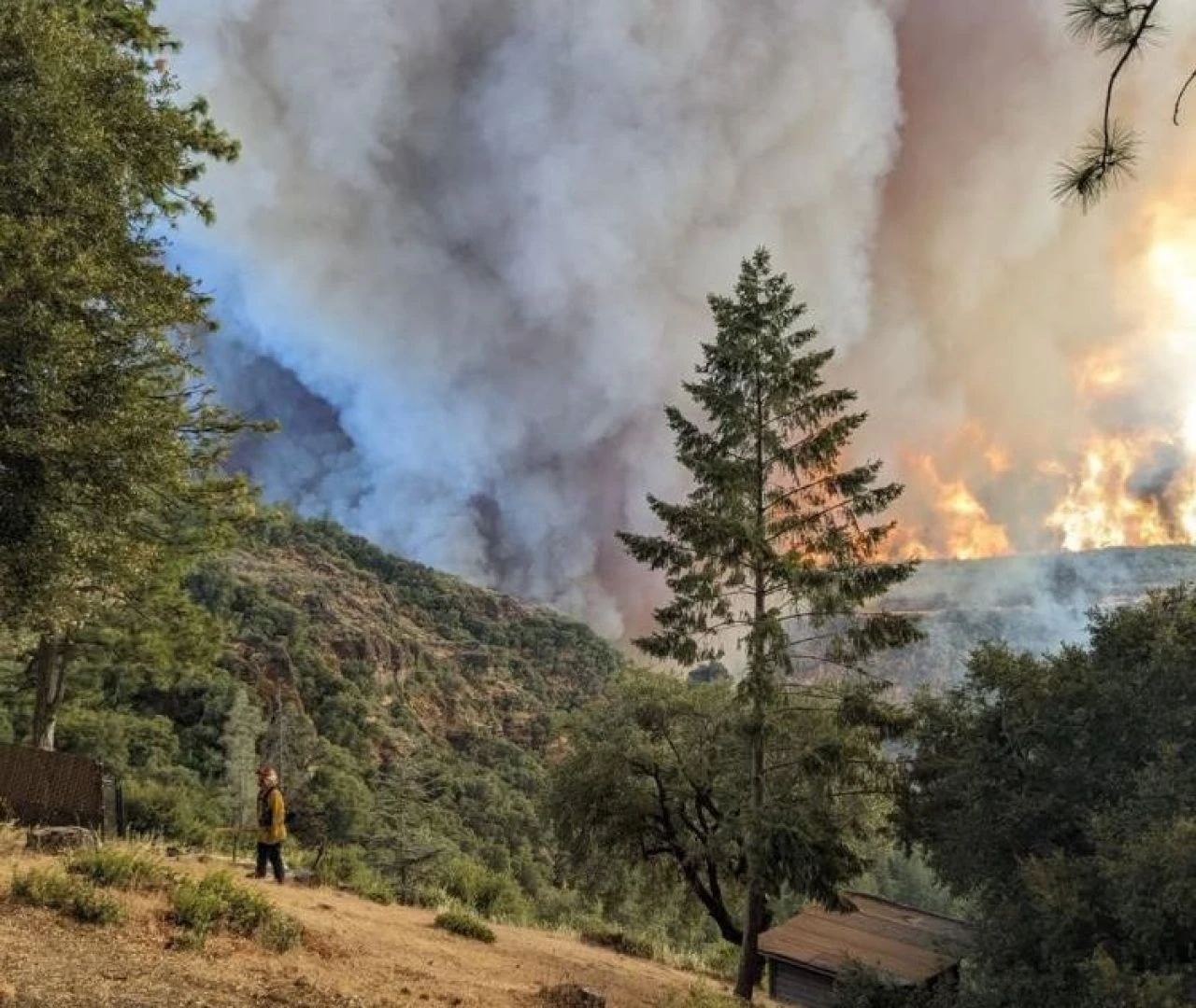 California'nın en büyük orman yangını! Alevlerle mücadele sürüyor - 3. Resim