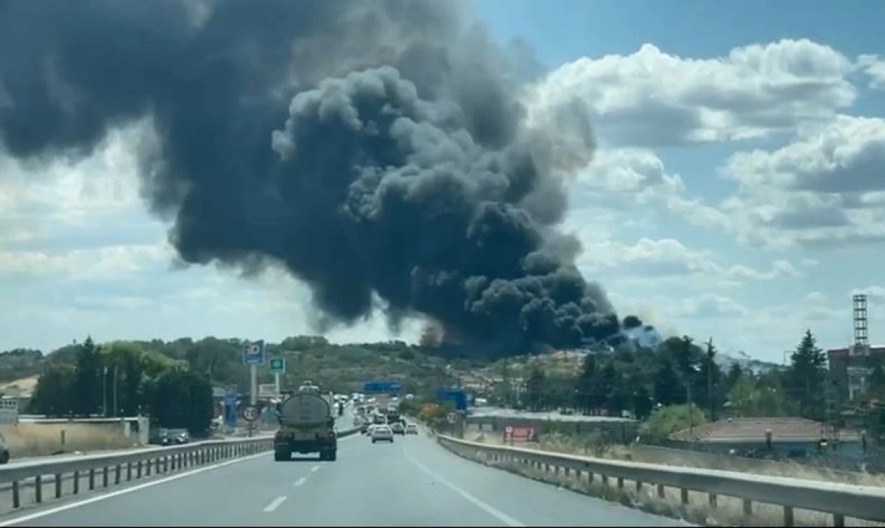 Tekirdağ'da korkutan yangın! Alevler otluk alandan geri dönüşüm tesisine sıçradı - 1. Resim