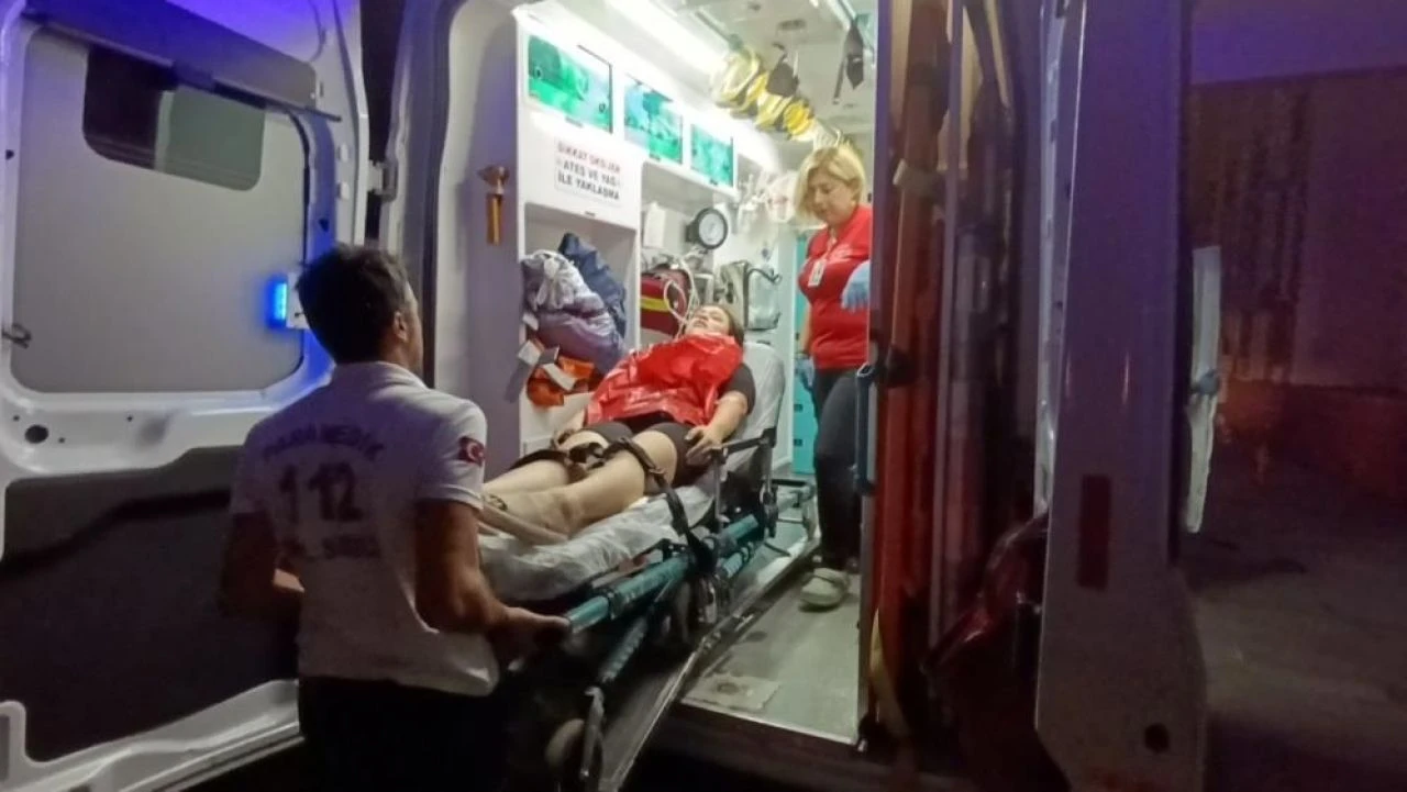 Yer Antalya! Başıboş köpekler yine dehşet saçtı! Bir anda bacağından ısırdı - 1. Resim