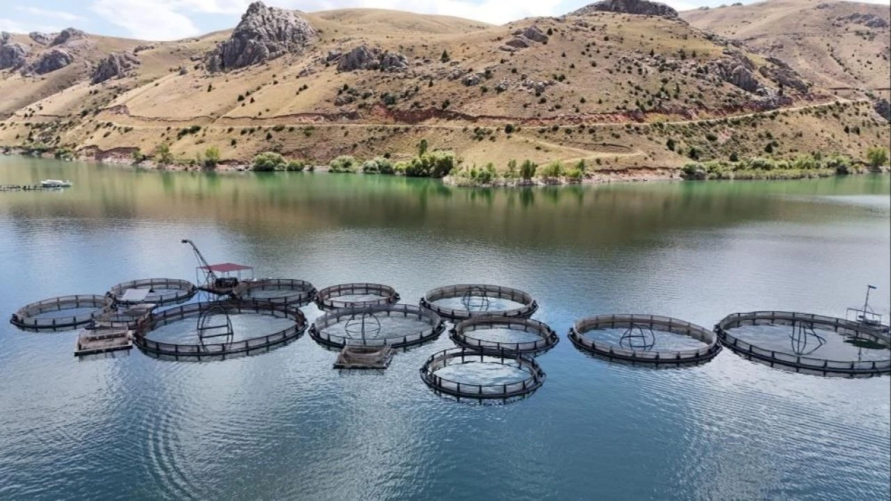 Denizi olmayan şehirde balık üretiyorlar! Bölge büyük kazanç sağlayacak