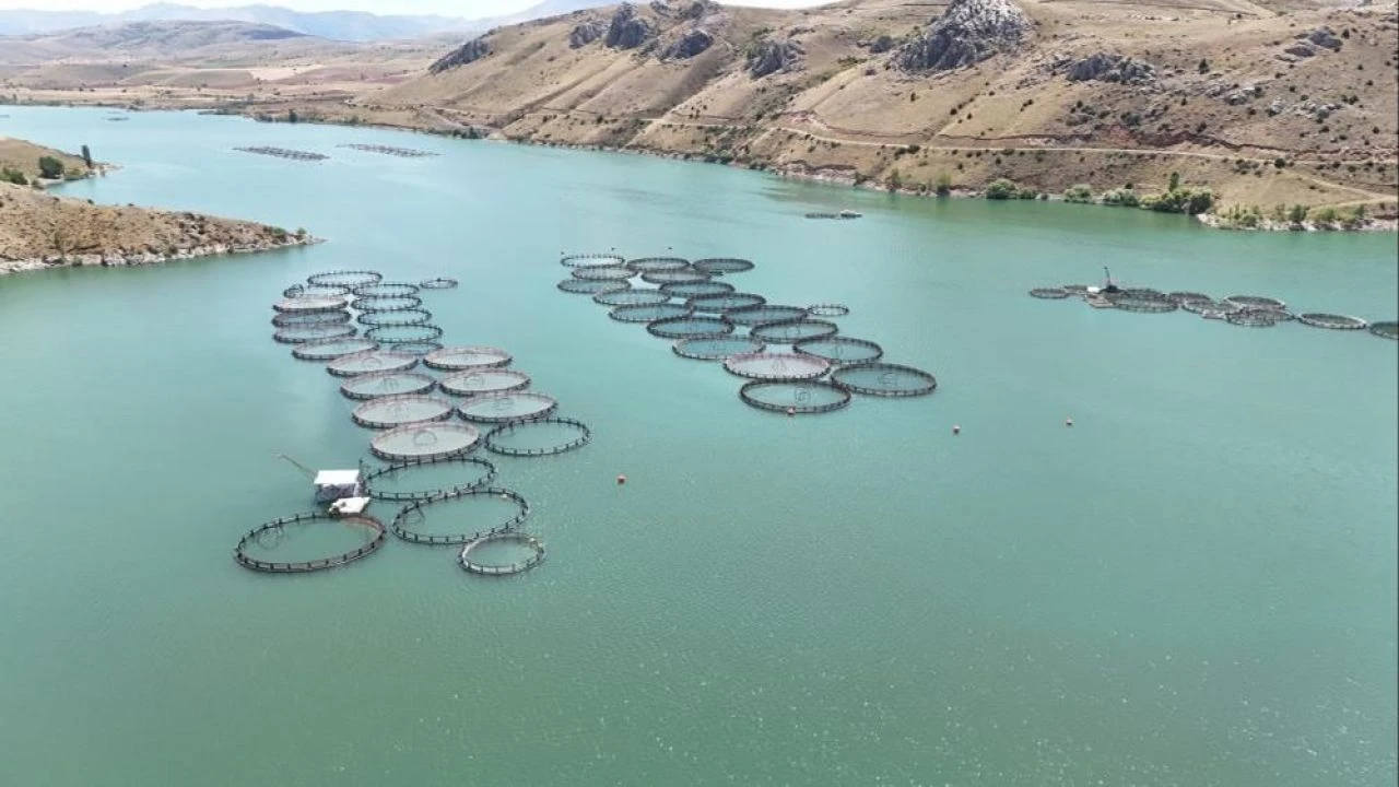 Denizi olmayan şehirde balık üretiyorlar! Bölge büyük kazanç sağlayacak