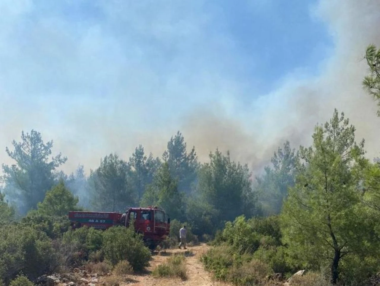 orman yangını Milas'ta <a href=