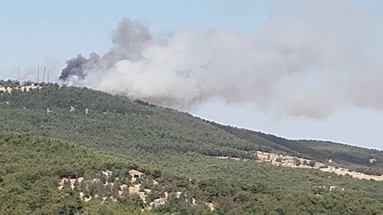 Gaziantep Dülükbaba Ormanı&#039;nda çıkan yangını söndürmek için müdahaleler devam ediyor