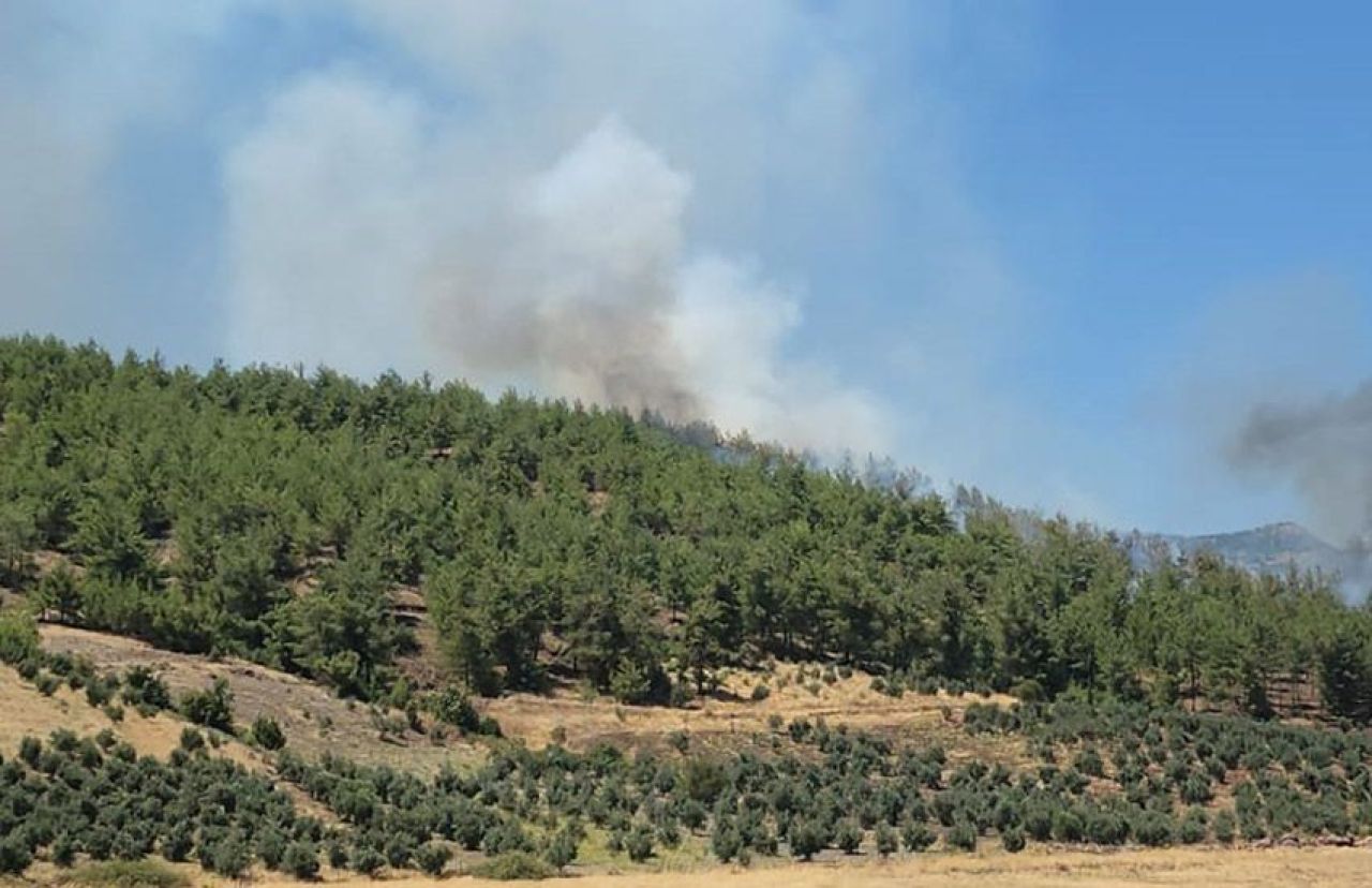 Hatay ve Kahramanmaraş'ta orman yangını: Sondaj aracında başlayan yangın ormana sıçradı, vatandaşlar tahliye ediliyor - 2. Resim