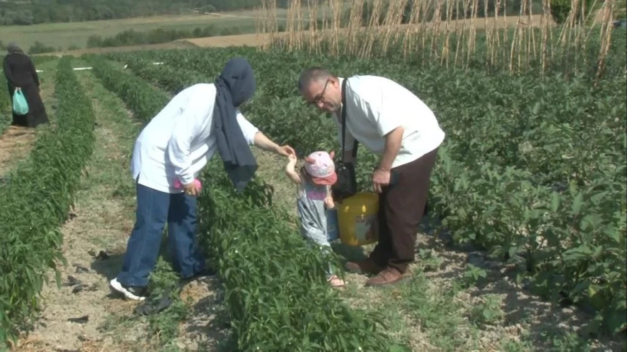 İstanbullular akın akın gidiyor! 'Burası her şeye değer'