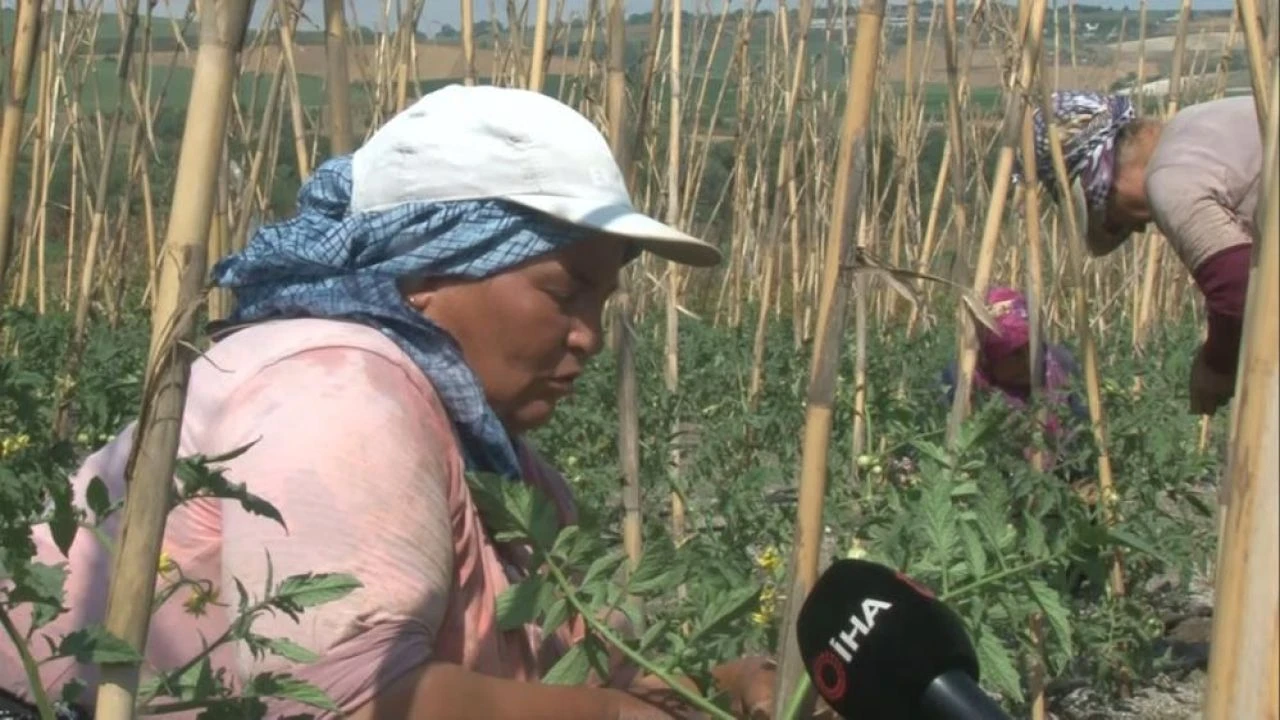 İstanbullular akın akın gidiyor! 'Burası her şeye değer'