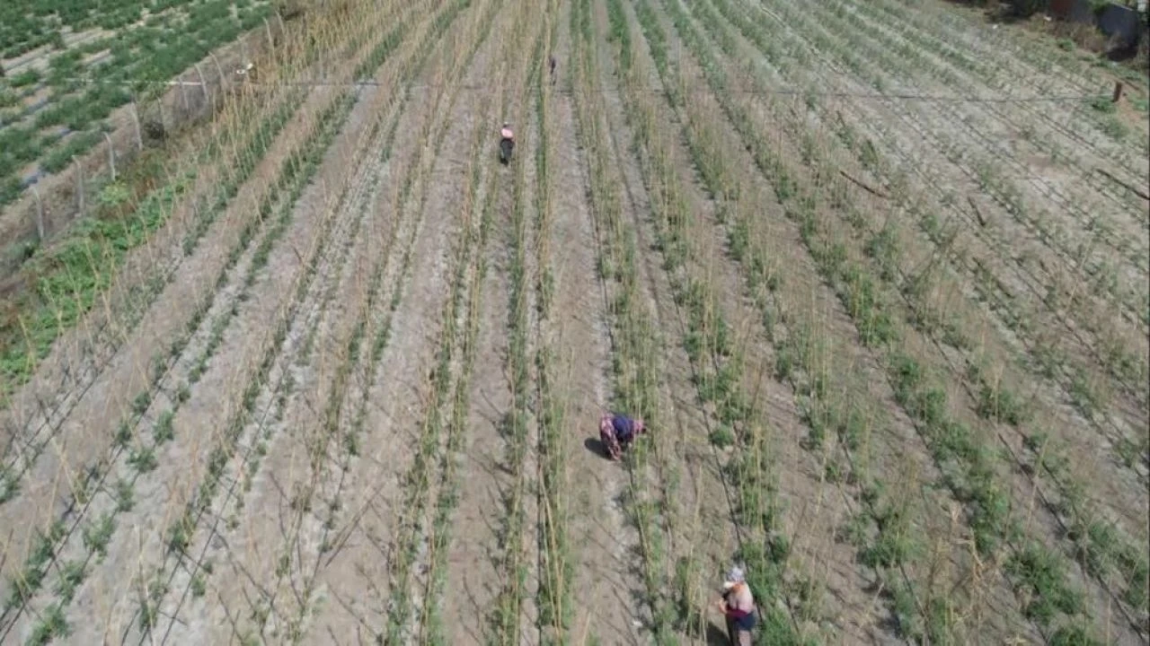 İstanbullular akın akın gidiyor! 'Burası her şeye değer'