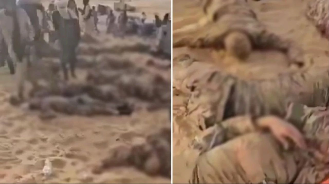 Mali'de isyancılar tuzağa düşürdü, Rus paralı asker grubu Wagner çok sayıda askerini kaybetti - 2. Resim
