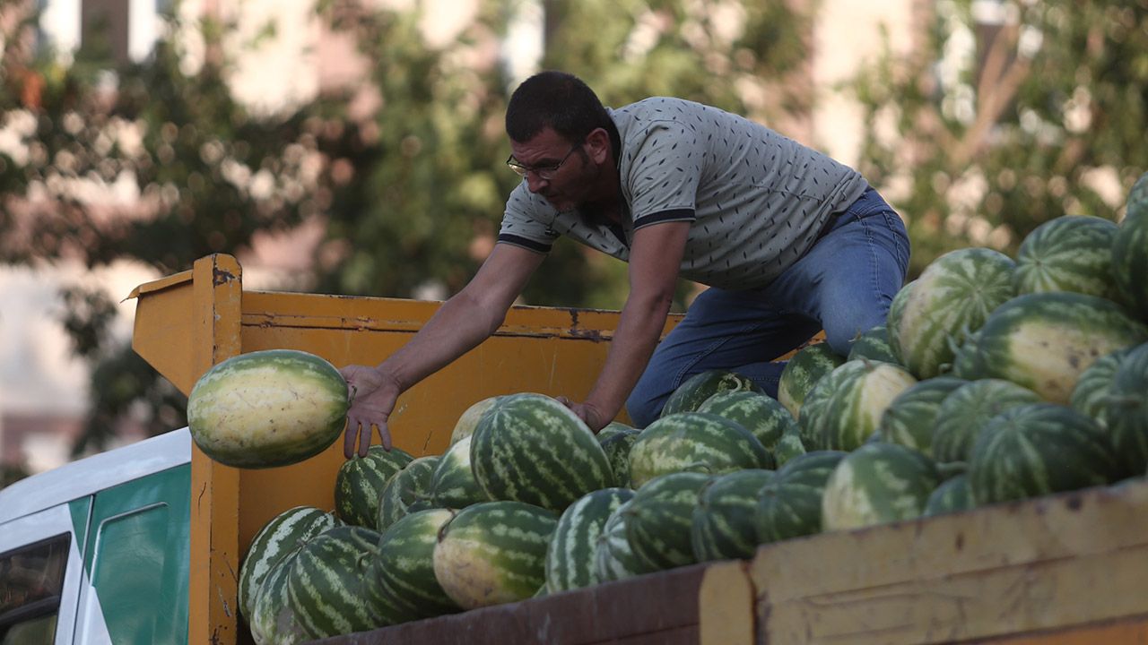 Tarlada kalan tonlarca karpuz, Bursalılara ücretsiz dağıtıldı