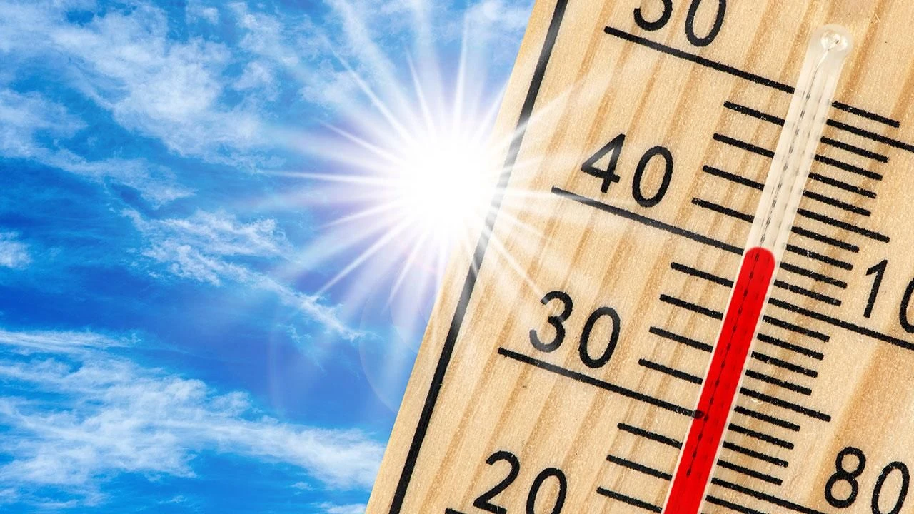 Afrika İstanbul'dan daha serin! Sıcaklıklar öyle bir aratacak ki... Nefes almakta zorlanacaksınız - 1. Resim