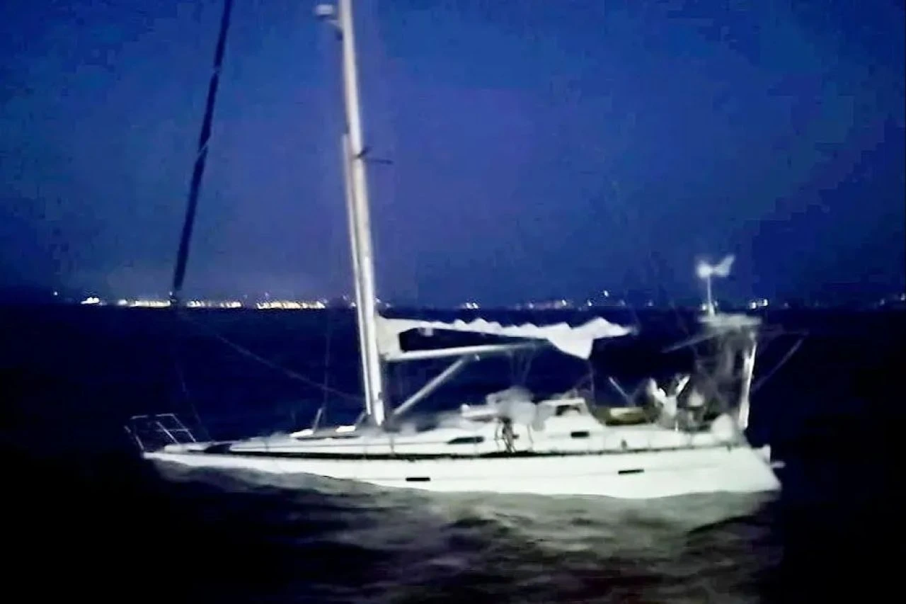 Katil balinalar kurt sürüsü gibi saldırdılar! Dehşet anlarını tek tek anlattı - 4. Resim