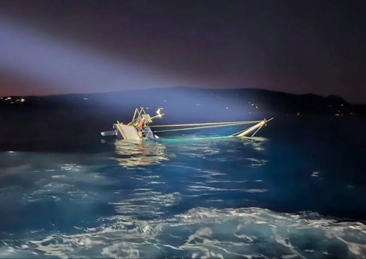 Katil balinalar kurt sürüsü gibi saldırdılar! Dehşet anlarını tek tek anlattı - 1. Resim