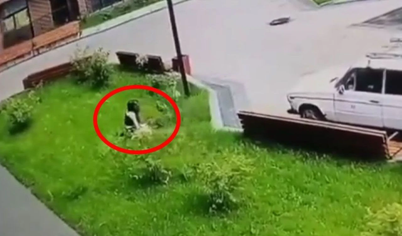 Rusya'da şoke eden olay: 13. kattan düştü kendi başına yürüdü! İşte o anlar - 2. Resim