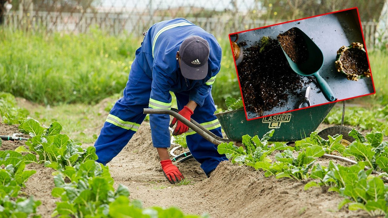 Tarımda kullanılan toprak da &quot;akıllı&quot; oldu... Verimi yüzde 138 artırdı