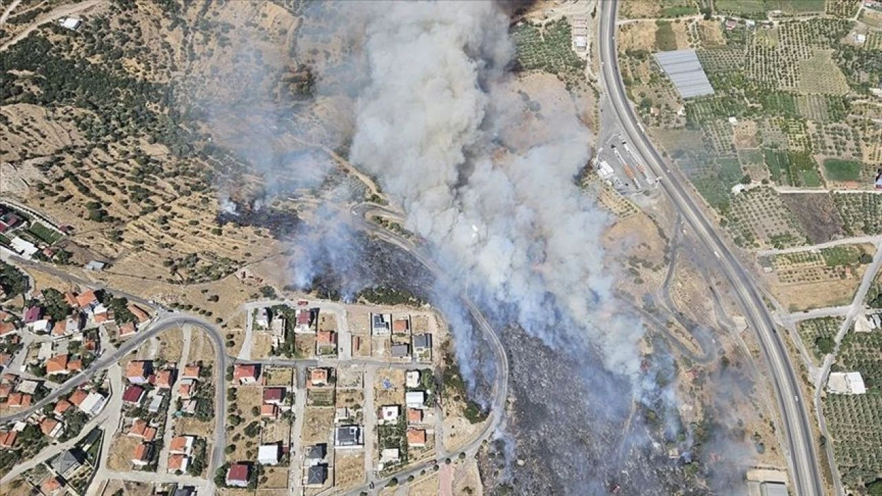 İzmir Urla'da orman yangını! Ekipler müdahaleye başladı
