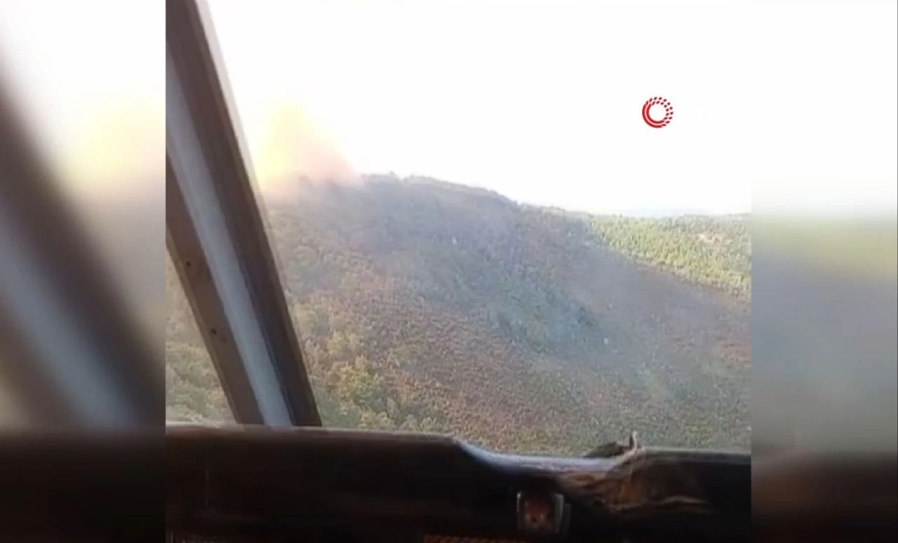 İzmir Urla'da orman yangını! Ekipler müdahaleye başladı