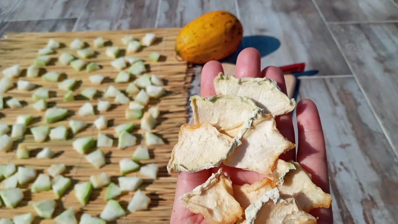 Japon bilim insanı kavun kabuklarını çöpe neden atmadıklarını açıkladı! İnsan doğasında yeni keşif - 1. Resim