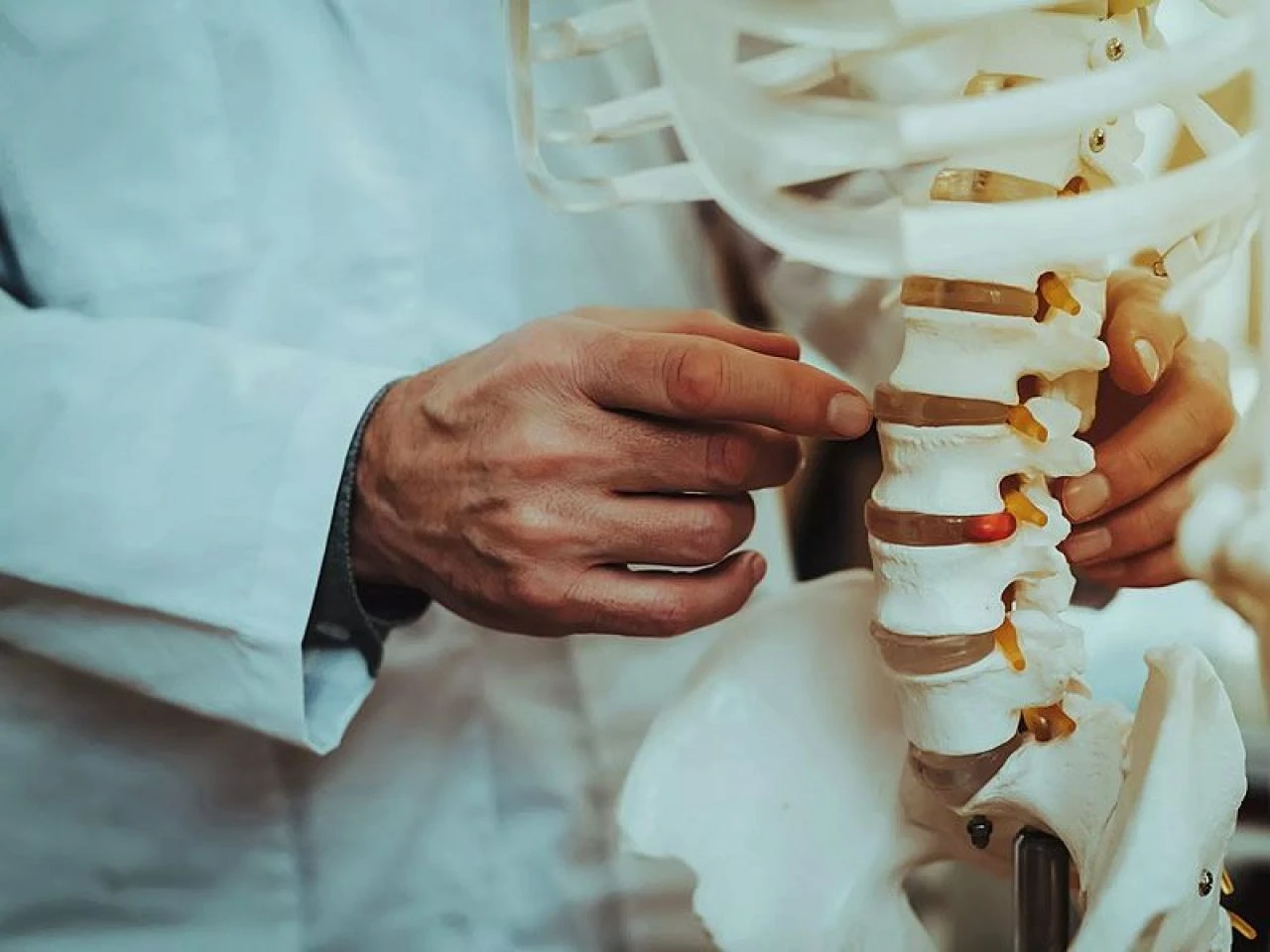 Japon bilim insanı kavun kabuklarını çöpe neden atmadıklarını açıkladı! İnsan doğasında yeni keşif - 2. Resim