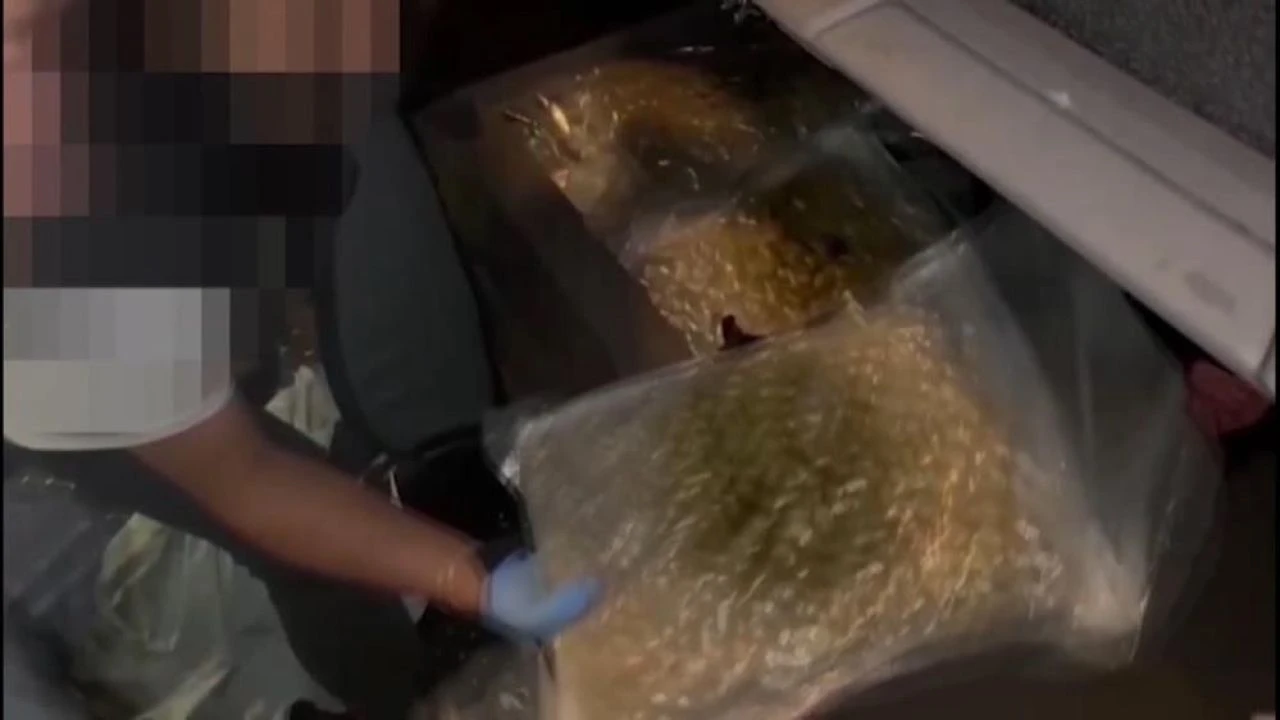 Kapıkule'de skunk baskını: Uluslararası uyuşturucu baronu ağına darbe!