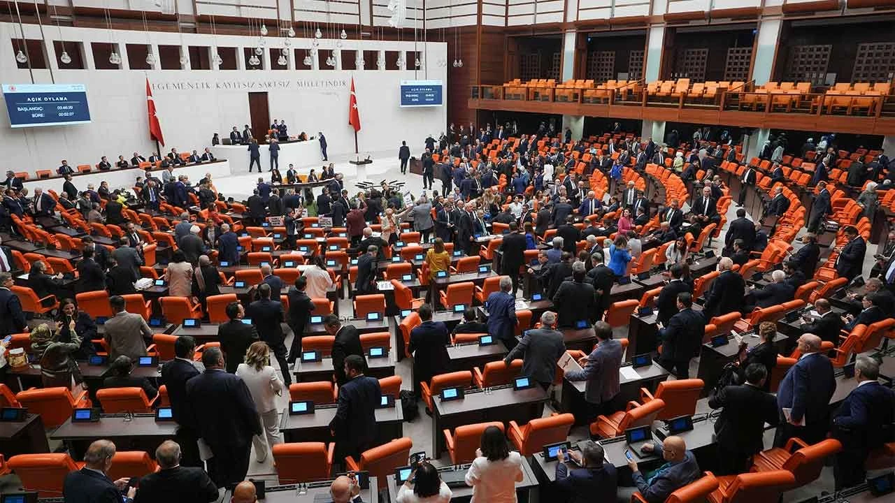 Tüm maddeler kabul edildi! Sahipsiz hayvanlara yönelik kanun teklifi yasalaştı - 1. Resim