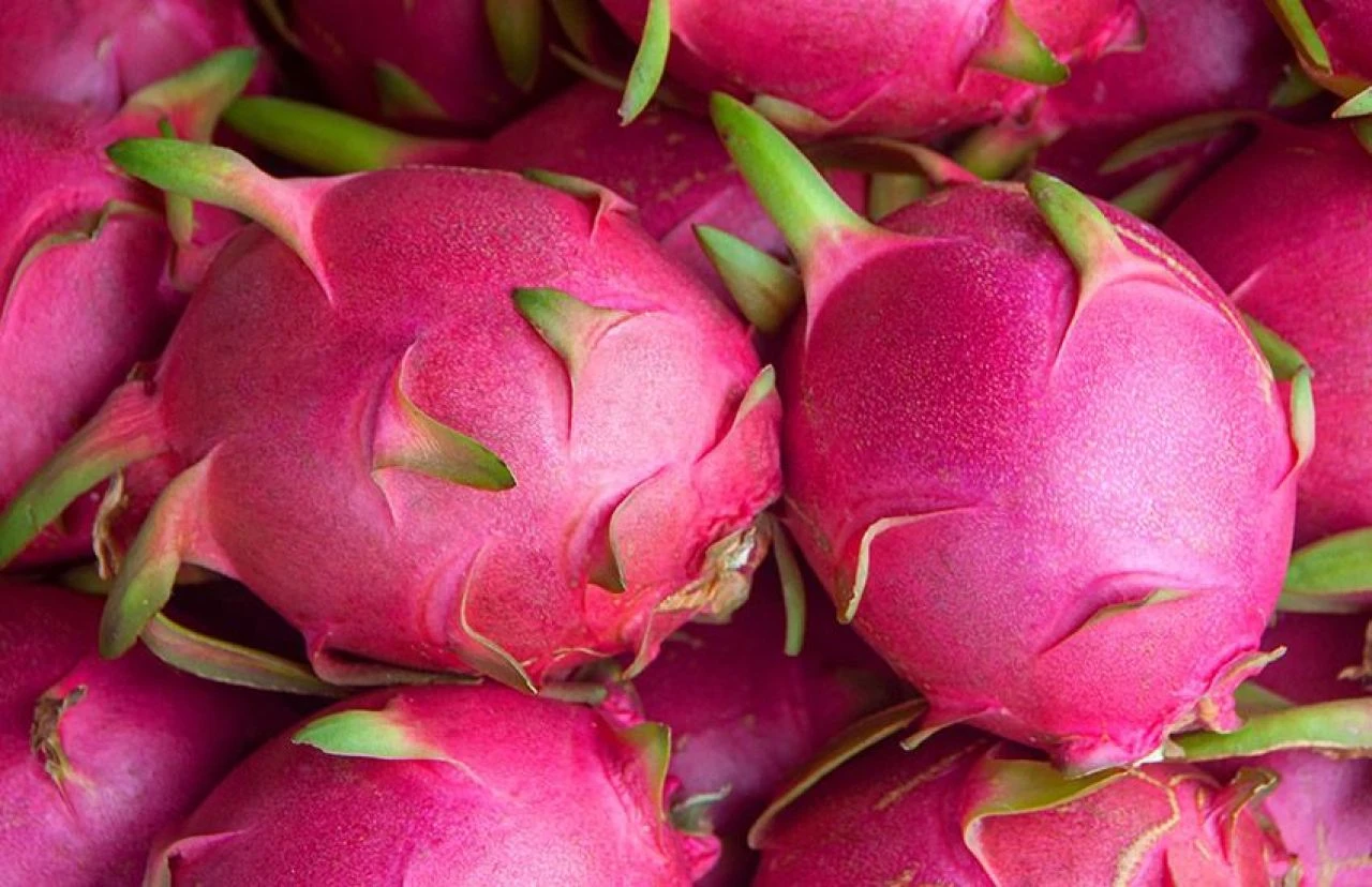 Türkiye'den 70 ülkeye yollanıyor! Tropikal meyve ihracatı yüzde 12 arttı, hedef 25 milyon dolar - 1. Resim