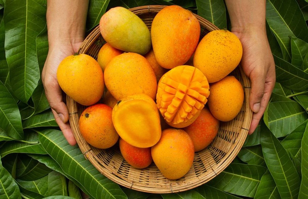 Türkiye'den 70 ülkeye yollanıyor! Tropikal meyve ihracatı yüzde 12 arttı, hedef 25 milyon dolar - 3. Resim