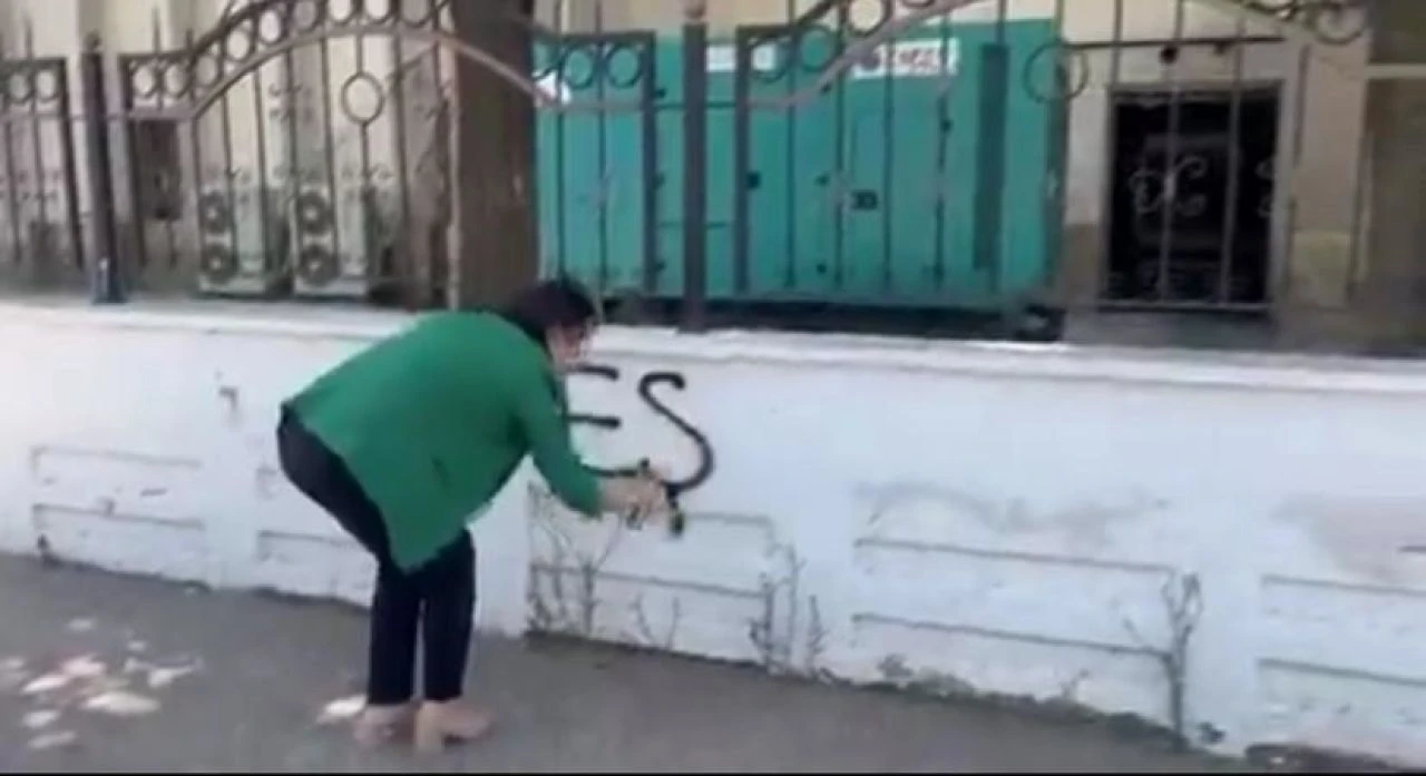 DEM Parti Batman milletvekili Zeynep Oduncu 1987 yılında doğdu - 1. Resim