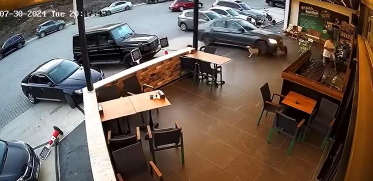 Kadın sürücü dehşet saçtı! Aniden markete daldı, ortalık savaş alanına döndü - 2. Resim