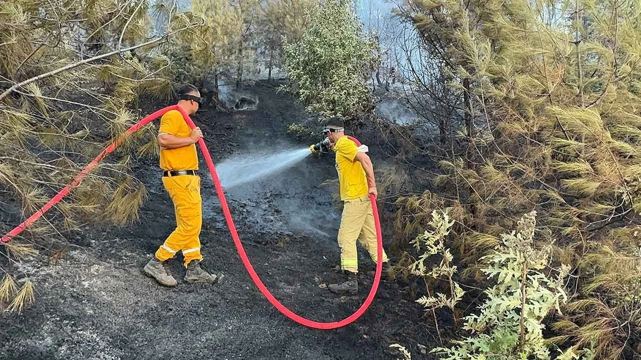 Kahramanmaraş, Denizli, Muğla ve İzmir'de orman yangınları! 2 ilde ekiplerin mücadelesi sürüyor - 2. Resim